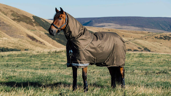 Arika Ripstop 100g Turnout rug - Alpine