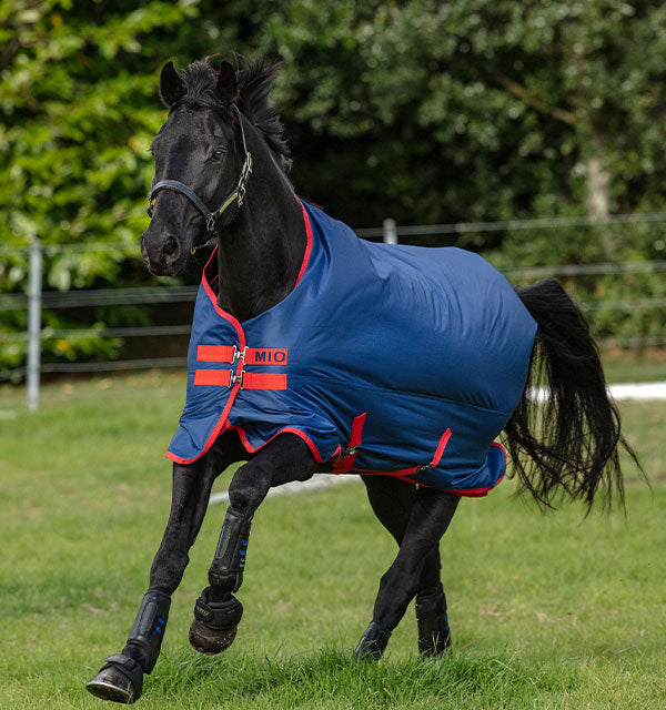 Horseware Amigo Mio 0g Turnout rug